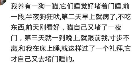 夢到遺體|解夢：做夢夢到屍體是什麼寓意？